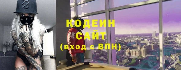 шишки Алзамай