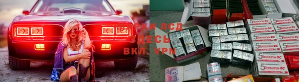 шишки Алзамай