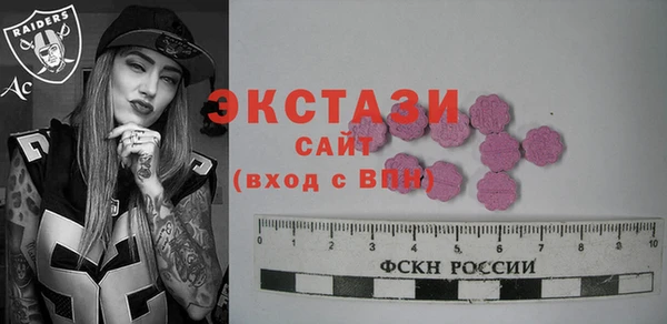 СК Алексин