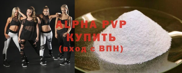 СК Алексин