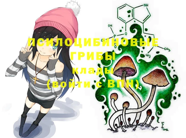 PSILOCYBIN Алексеевка