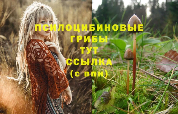 PSILOCYBIN Алексеевка