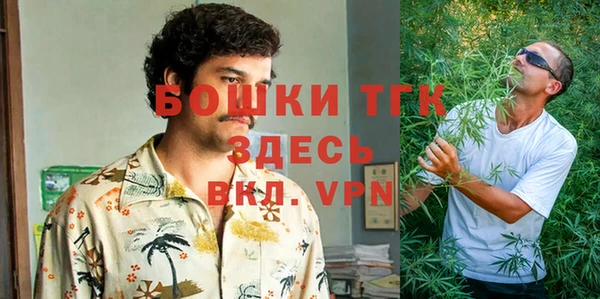 PSILOCYBIN Алексеевка