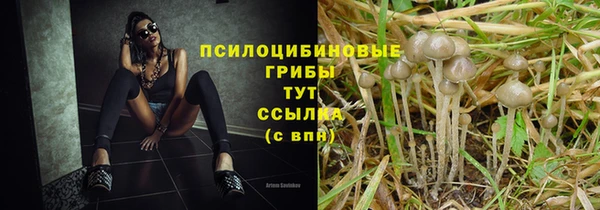 PSILOCYBIN Алексеевка