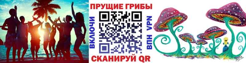 мориарти клад  где купить наркоту  Ипатово  Псилоцибиновые грибы мицелий 